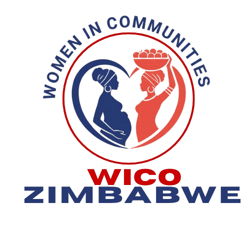 Women in Communities Zimbabwe (WICO)